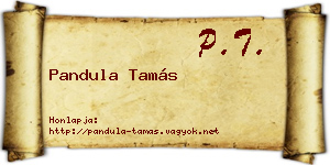 Pandula Tamás névjegykártya